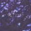 Minor Mistakes EP