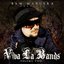 Bam Margera Presents: Viva La Bands Vol. 2