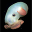 Avatar de danieletsh