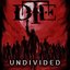 Undivided
