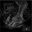 Under Your Hoof