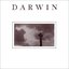 Darwin