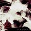 Lovely Girl - Single