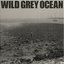 Wild Grey Ocean