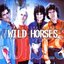 Wild Horses