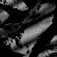 Lately - Single