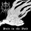 Dust In The Void