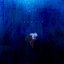 Languid