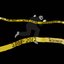 3kliksphilip 2008 - 2012