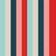 The Polkadotted Stripe