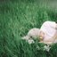 What remains is a thick scent and last love