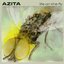 Azita - Life on the Fly album artwork