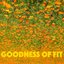 GOODNESS OF FIT