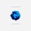 Bridges and Bones - Single