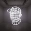 Reconstructed: The Best Of DJ Shadow (Deluxe Edition)