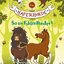 Die Haferhorde - So ein Fohlentheater! (Hörspiel zu Band 8)