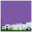 Assassin (The Paisley Park Session) [The Paisley Park Session] - Single