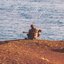 Here With You - Single