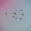 Ocean Breeze - Single