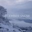 December Snow - Single
