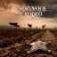 Rendezvous Rodeo