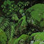 boringplants 的头像