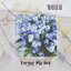 Forget Me Not
