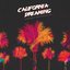 California Dreaming (feat. Snoop Dogg & Paul Rey)