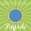 Série Pandeiro - Pagode