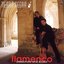 Furia Flamenca- Passionate And Soulful