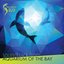 Soundtrack from Aquarium of the Bay