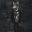 Avatar de DrakeDixson