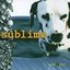 Sublime (Bonus Track Version)