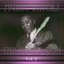 Muddy Waters The Blues Icon Volume 2