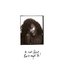 It Isn’t Perfect But It Might Be (Wurli Version / from “Bridget Jones: Mad About the Boy” Original Motion Picture Soundtrack)