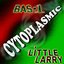 Cytoplasmic