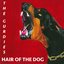 Hair of the Dog