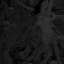 Avatar de csxphie