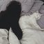 empty streets of sleep
