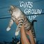 Guts Grown Up (Redux) - Single