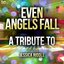 Even Angels Fall: A Tribute to Jessica Riddle