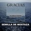 Gracias