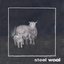 Steel Wool