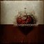 Seekers Who Are Lovers (Tribute to Cocteau Twins)