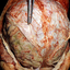 Avatar for fresh_flesh