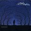 The Birds of My City - Music for Kamancheh and Percussion