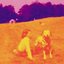 blinking lights and other revelations CD1