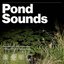 Pond Sounds
