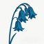 This Is…The Bluebells
