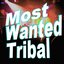 Most Wanted Tribal
